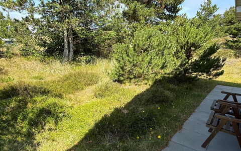 Absolon - 1.5Km from the Sea: Gras, Vegetation, Struik, Plantengemeenschap, Land Lot, Groundcover, Tuin, Woody Plant, Gazon