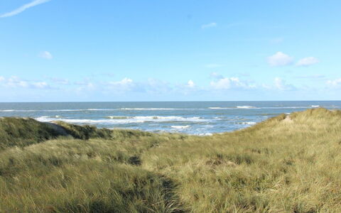 Marisol - 600M to the Fjord: Lucht, Blauw, Horizon, Ecoregio, Wolk, Kust, Zee, Kust En Oceanic Landvormen, Grasland, Oceaan