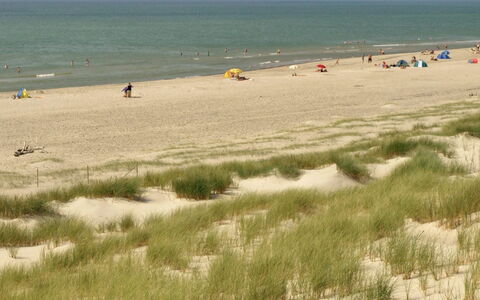Dorothea - 450M to the Fjord: Natuurlijke Omgeving, Strand, Zand, Ecoregio, Kust, Zomer, Kust, Zee, Kust En Oceanic Landvormen, Oceaan
