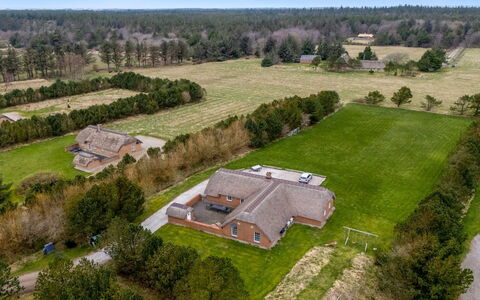 Aane - 1.8Km from the Sea: Plantengemeenschap, Zonlicht, Kruidachtige Plant, Tuin, Plantage, Landbouw, Boerderij