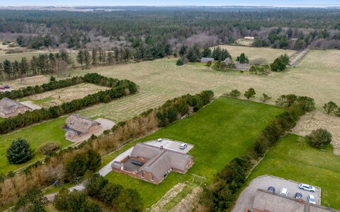 Aane - 1.8Km from the Sea: Plantengemeenschap, Zonlicht, Kruidachtige Plant, Tuin, Plantage, Landbouw, Boerderij