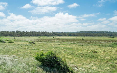 Tayanita - 750M from the Sea: Dak, Land Lot, Verblijf, Huis, Landelijk Gebied, Schuur, Siding, Garden Gebouwen, Blokhut, Hut