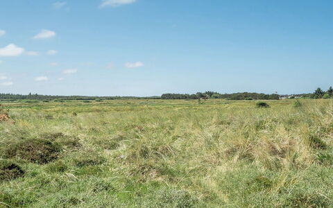 Tayanita - 750M from the Sea: Dak, Land Lot, Verblijf, Huis, Landelijk Gebied, Schuur, Siding, Garden Gebouwen, Blokhut, Hut