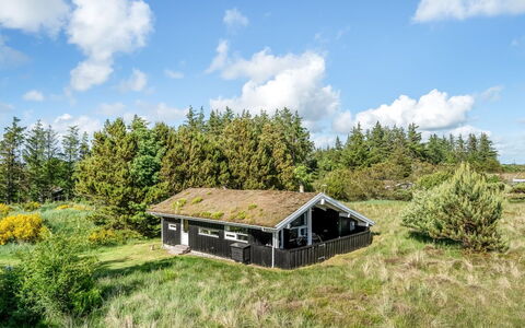 Anthonia - 1.6Km from the Sea: Plantengemeenschap, Zonlicht, Kruidachtige Plant, Tuin, Plantage, Landbouw, Boerderij