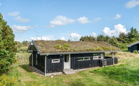 Anthonia - 1.6Km from the Sea: Plantengemeenschap, Zonlicht, Kruidachtige Plant, Tuin, Plantage, Landbouw, Boerderij