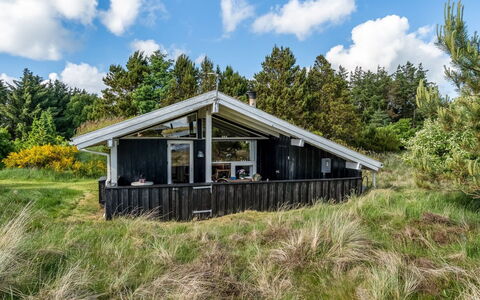 Anthonia - 1.6Km from the Sea: Plantengemeenschap, Zonlicht, Kruidachtige Plant, Tuin, Plantage, Landbouw, Boerderij