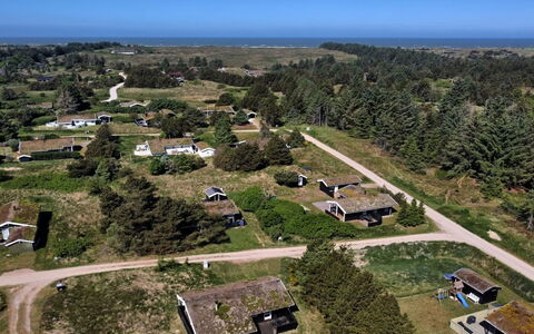 Anthonia - 1.6Km from the Sea: Plantengemeenschap, Zonlicht, Kruidachtige Plant, Tuin, Plantage, Landbouw, Boerderij
