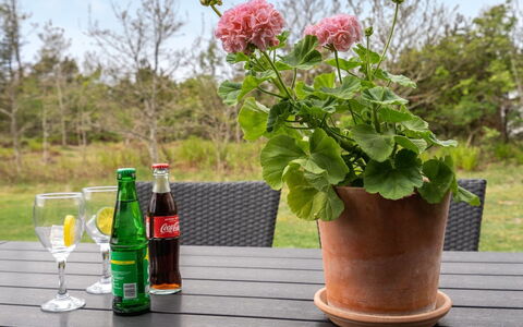Birette - 1.5Km from the Sea: Bloempot, Tuin, Kamerplant, Kruid, Vaas