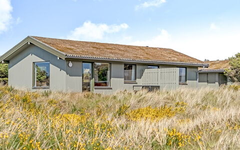 Ehawee - 350M from the Sea: Dak, Land Lot, Verblijf, Huis, Landelijk Gebied, Schuur, Siding, Garden Gebouwen, Blokhut, Hut