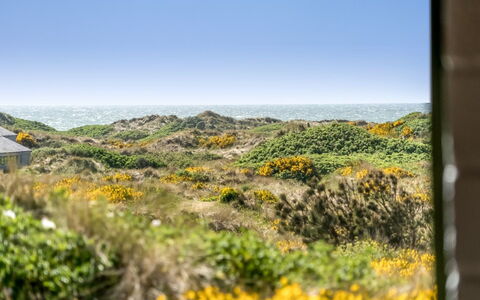 Ehawee - 350M from the Sea: Dak, Land Lot, Verblijf, Huis, Landelijk Gebied, Schuur, Siding, Garden Gebouwen, Blokhut, Hut
