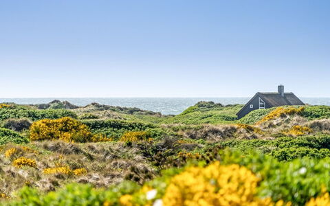 Ehawee - 350M from the Sea: Dak, Land Lot, Verblijf, Huis, Landelijk Gebied, Schuur, Siding, Garden Gebouwen, Blokhut, Hut