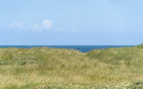Dila - 150M from the Sea: Huis, Huis, Deur, Dak, Verblijf, Landgoed, Tuin, Schaduw, Siding, Werf