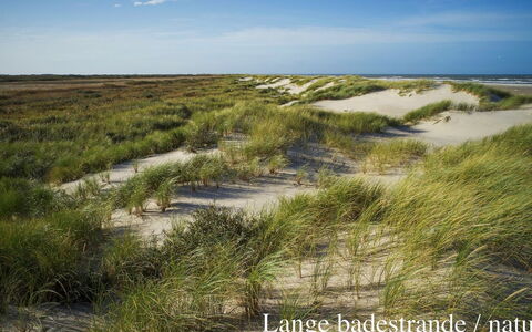 Elle - 50M from the Sea: Dak, Huis, Land Lot, Huis, Verblijf, Landgoed, Garden Gebouwen, Schaduw, Blokhut, Landscaping