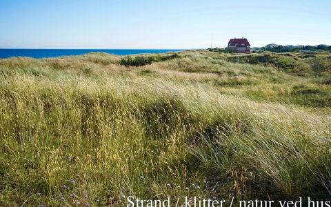 Elle - 50M from the Sea: Dak, Huis, Land Lot, Huis, Verblijf, Landgoed, Garden Gebouwen, Schaduw, Blokhut, Landscaping
