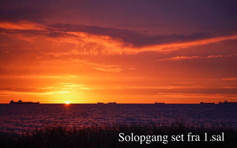 Ingwald - 50M from the Sea: Woongebied, Dak, Voorstad, Oprit, Landgoed, Schoorsteen