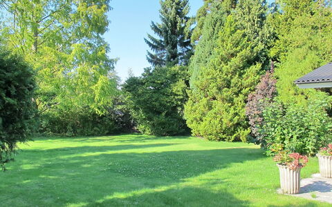 Claudette - 1Km from the Sea: Boom, Groen, Gras, Blad, Struik, Tuin, Gazon, Land Lot, Groundcover
