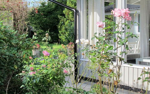 Claudette - 1Km from the Sea: Bloem, Struik, Roze, Tuin, Petal, Plantengemeenschap, Tuinrozen, De Lente, Bloeiende Plant