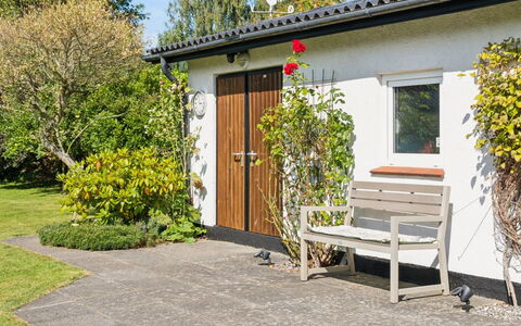 Merit - 800M from the Sea: Struik, Tuin, Groundcover, Bloempot, Landscaping, Verblijf, Werf, Backyard, Kamerplant