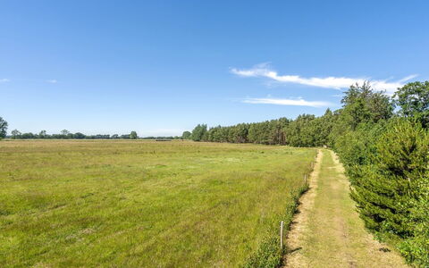 Taralyn - 1.3Km from the Sea: Woongebied, Huis, Landgoed, Schaduw, Beton, Oprit, Landscaping, Villa, Hek, Veranda
