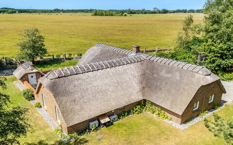 Taralyn - 1.3Km from the Sea: Dak, Huis, Deur, Verblijf, Schaduw, Siding, Werf, Landgoed, Backyard
