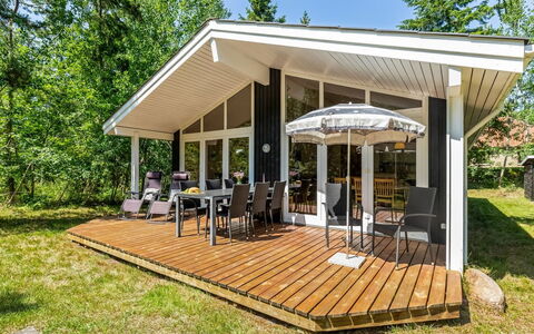 Hertta - 200M from the Sea