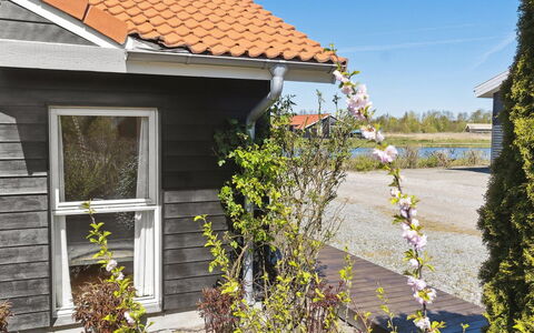 Florentin - 1Km from the Sea: Dak, Land Lot, Verblijf, Huis, Landelijk Gebied, Schuur, Siding, Garden Gebouwen, Blokhut, Hut