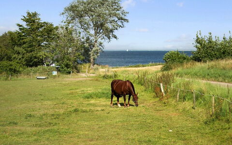 Ady - 150M from the Sea: Dak, Huis, Land Lot, Huis, Verblijf, Landgoed, Garden Gebouwen, Schaduw, Blokhut, Landscaping