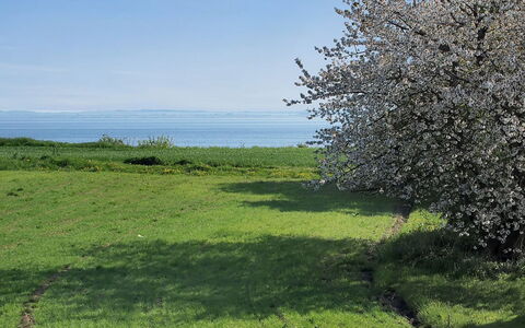 Ady - 150M from the Sea: Dak, Huis, Land Lot, Huis, Verblijf, Landgoed, Garden Gebouwen, Schaduw, Blokhut, Landscaping