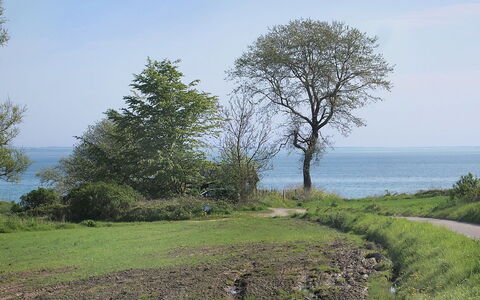 Ady - 150M from the Sea: Dak, Huis, Land Lot, Huis, Verblijf, Landgoed, Garden Gebouwen, Schaduw, Blokhut, Landscaping