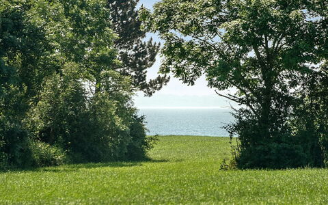 Ilja - 400M from the Sea: Blauw, Groen, Dag, Blad, Gras, Natuurlijke Omgeving, Natuur, Vegetation, Grasland, Natuurlijk Landschap
