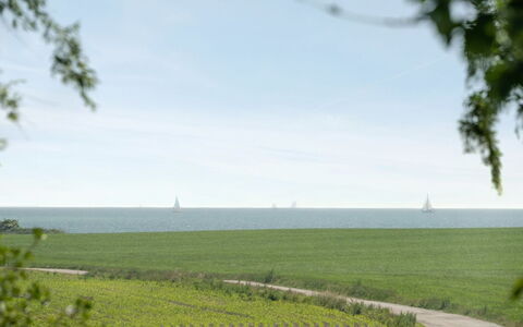 Ilja - 400M from the Sea: Blauw, Dag, Gras, Horizon, Natuurlijk Landschap, Ecoregio, Plain, Land Lot, Wolk