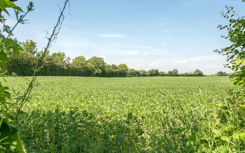 Ilja - 400M from the Sea: Groen, Landbouw, Veld, Grasland, Zomer, Plain, Land Lot, Plantage, Landelijk Gebied