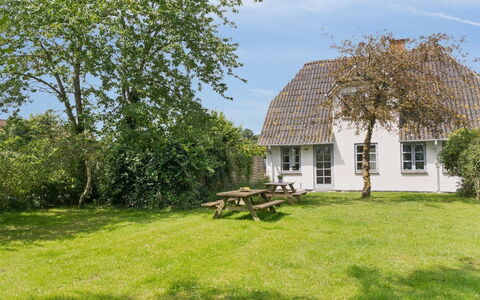 Ilja - 400M from the Sea: Gras, Grasland, Landschap, Ecoregio, Plain, Plantengemeenschap, Land Lot, Buitenmeubels, Prairie, Shrubland