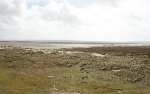 Anette - 50M from the Sea: Struik, Stedelijk Ontwerp, Groundcover, Steen, Appartement, Landgoed, Metselwerk, Balkon, Landscaping