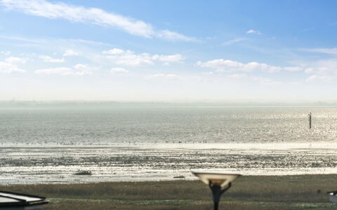 Joonas - 100M from the Sea: Gebouw, Huis, Venster, Huis, Dak, Woongebied, Struik, Verblijf, Land Lot