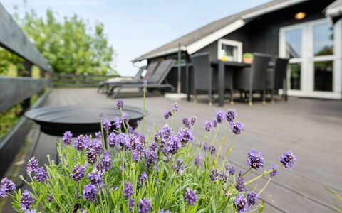 Doria - 2Km from the Sea: Huis, Huis, Dak, Woongebied, Verblijf, Landgoed, Boerderij, Gazon, Landscaping, Siding