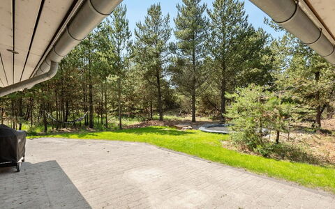 Jonas - 2.4Km from the Sea: Boom, Schaduw, Lariks, Evergreen, Landscaping, Bos, Oprit, Pine Family