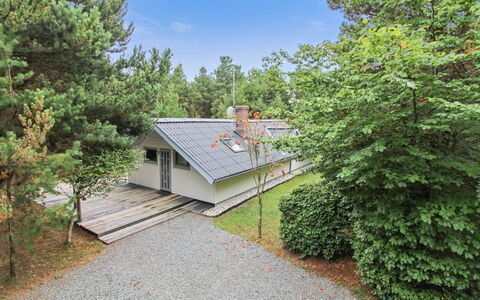 Lenia - 1Km from the Sea: Struik, Dak, Huis, Verblijf, Tuin, Siding, Landgoed, Landscaping, Werf, Garden Gebouwen