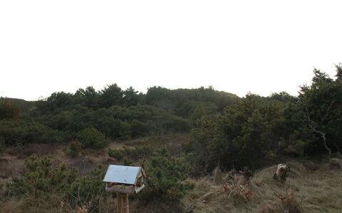 Annita - 300M from the Sea: Dak, Huis, Huis, Verblijf, Siding, Landgoed, Oprit, Garden Gebouwen, Werf, Schuur