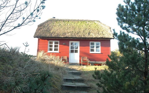 Jon - 400M from the Sea: Dak, Land Lot, Verblijf, Huis, Landelijk Gebied, Schuur, Siding, Garden Gebouwen, Blokhut, Hut