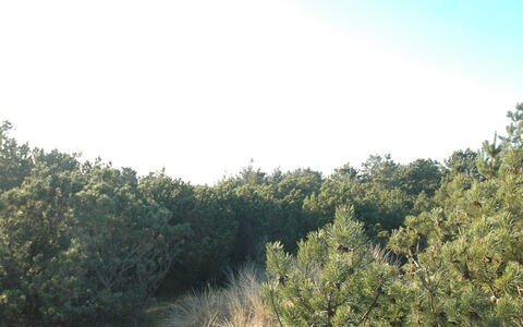 Jon - 400M from the Sea: Dak, Land Lot, Verblijf, Huis, Landelijk Gebied, Schuur, Siding, Garden Gebouwen, Blokhut, Hut