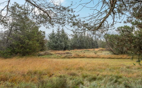 Aulikki - 900M from the Sea: Gras, Huis, Dak, Huis, Verblijf, Struik, Land Lot, Landelijk Gebied, Boerderij, Groundcover
