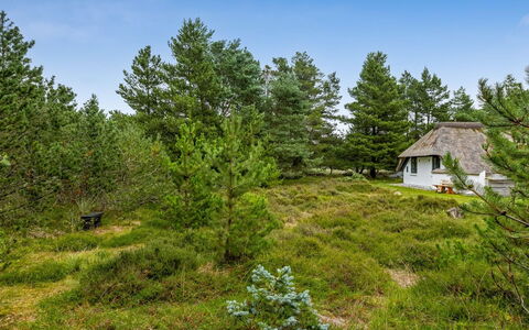 Lilo - 1Km from the Sea: Verblijf, Schuur, Hut, Boerderij, Prairie, Keet, Schuur, Blokhut, Garden Gebouwen