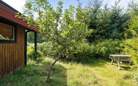 Sune - 500M from the Sea: Dak, Huis, Huis, Verblijf, Siding, Landgoed, Oprit, Garden Gebouwen, Werf, Schuur
