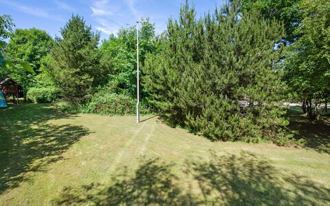 Sanni - 1.6Km from the Sea: Struik, Tuin, Woody Plant, Gazon, Landscaping, Evergreen, Lariks, Park, Pine Family