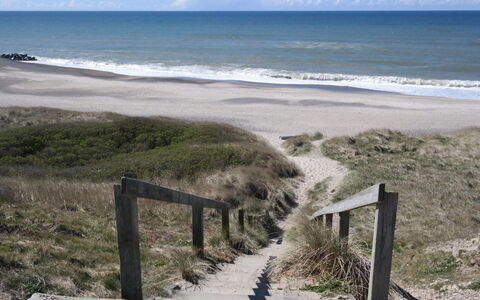 Ena - 75M from the Sea: Hout, Dak, Architectuur, Huis, Huis, Verblijf, Siding, Hardwood, Helling, Landgoed