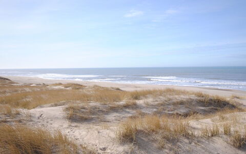 Elfrun - 250M from the Sea: Huis, Dak, Huis, Verblijf, Schuur, Garden Gebouwen, Siding, Werf, Blokhut, Hut