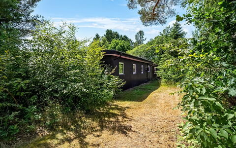 Fot - 7Km from the Sea: Vegetation, Struik, Landschap, Plantengemeenschap, Land Lot, Landelijk Gebied, Tuin, Verblijf, Garden Gebouwen
