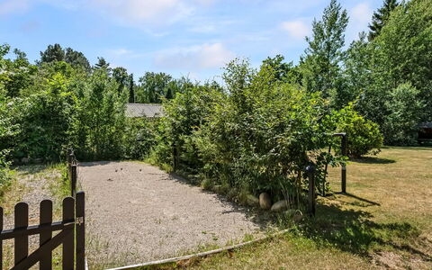 Fot - 7Km from the Sea: Struik, Tuin, Hek, Schaduw, Woody Plant, Gazon, Home Schermen, Landscaping, Backyard, Werf