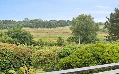 Ylermi - 1.5Km from the Sea: Lucht, Groen, Vegetation, Wolk, Struik, Grasland, Plantengemeenschap, Plain, Cumulus, Plantage